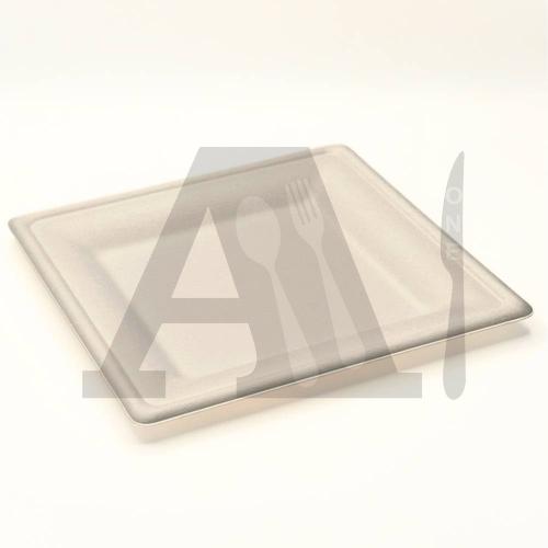 10 inch Bagasse Square Plate (Biodegradable)