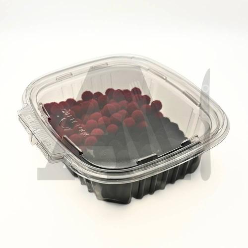 24 oz Plastic Hinged Deli Container (Clear Clamshell Box)