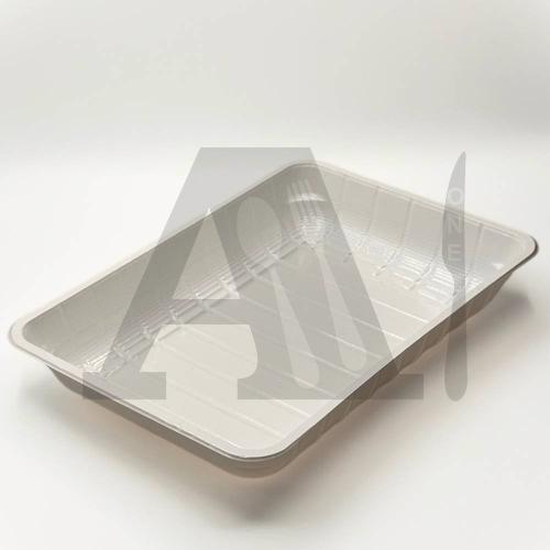 Disposable White Plastic Food & Fruit Tray - SP 30